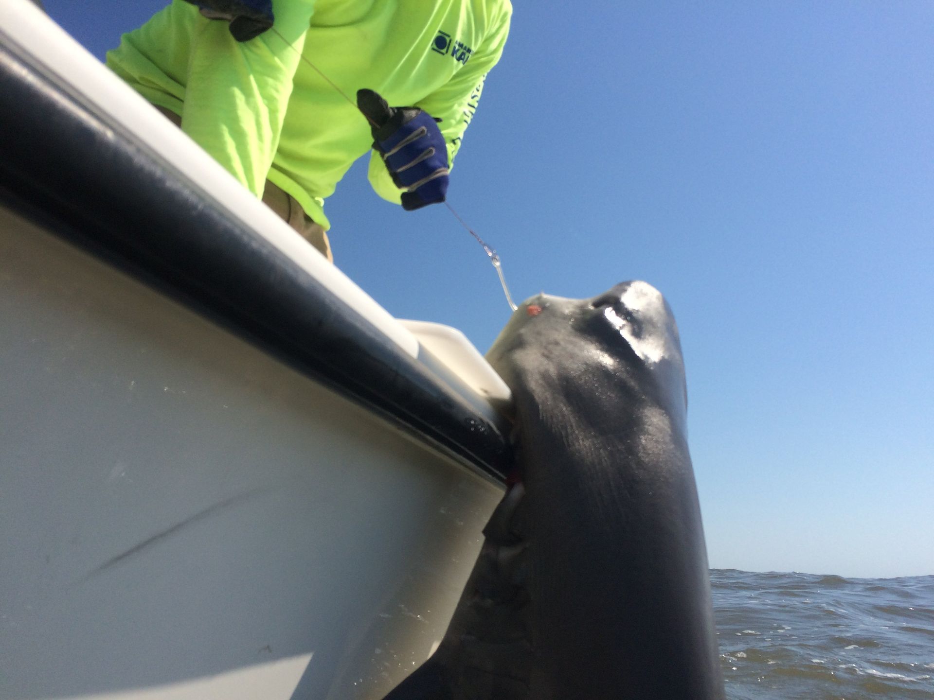 best saltwater adventures in  fishing charters