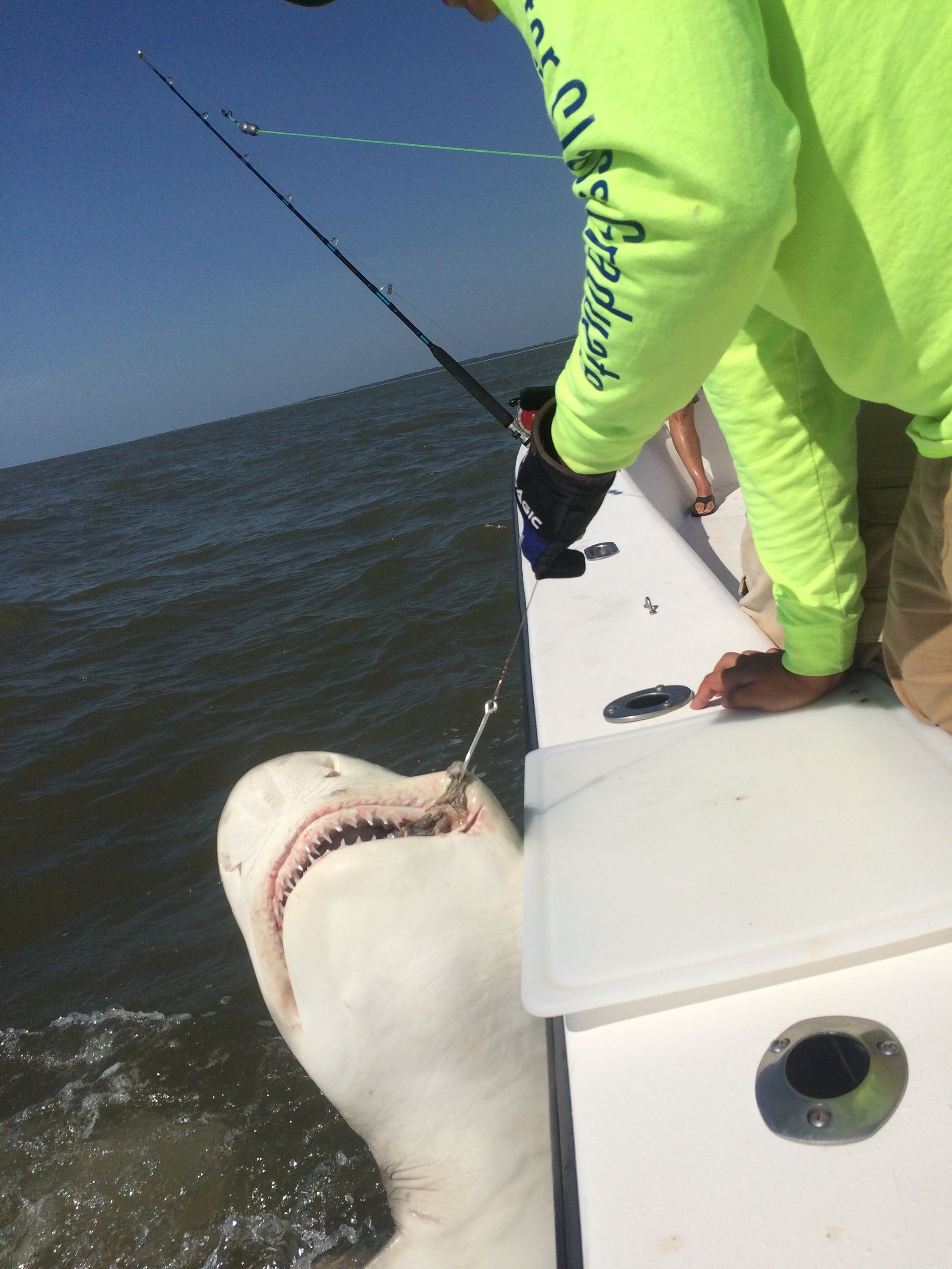best charter guide in ga coast sea island ga fishing