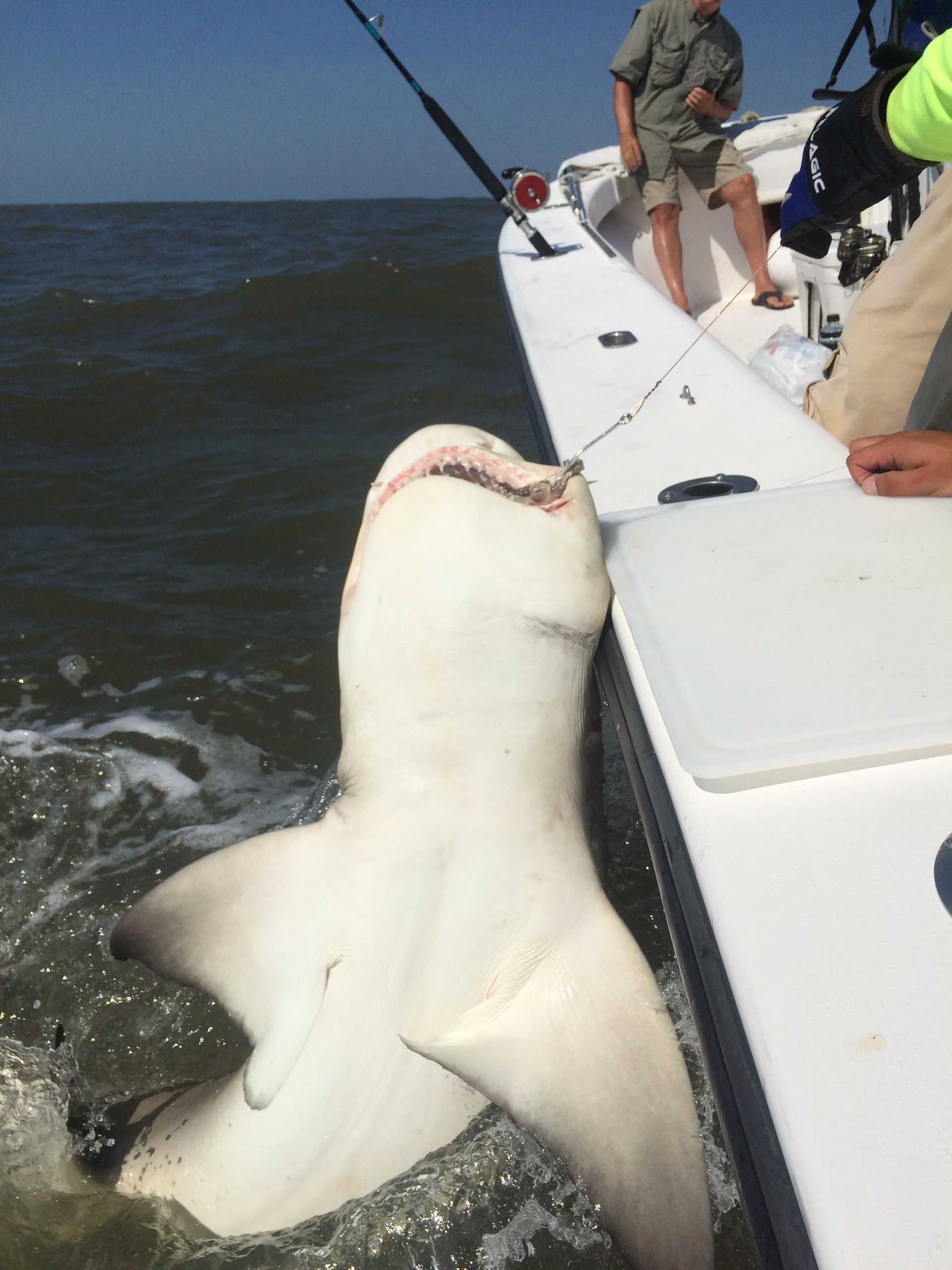 best ga fishing guide in the ga coast