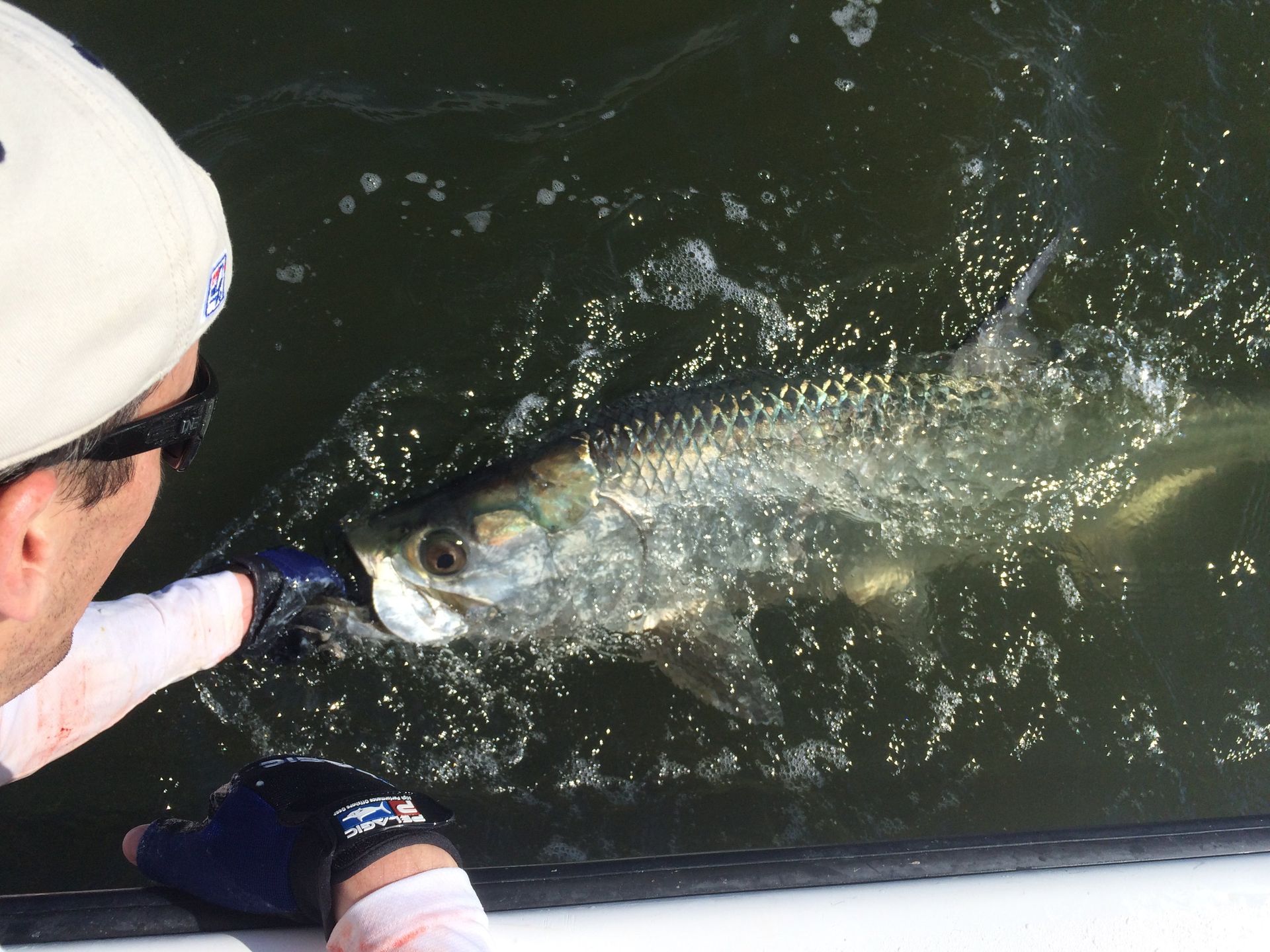 ga tarpon fishing