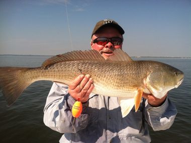 best ga saltwater fishing for bull red drum