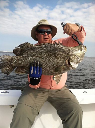 best triple tail fishing in ga