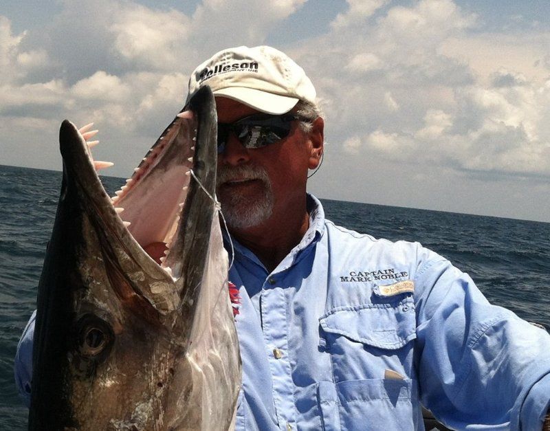 Barracuda Barracuda, offshore,deep sea fishing, big fish fishing in south georgia