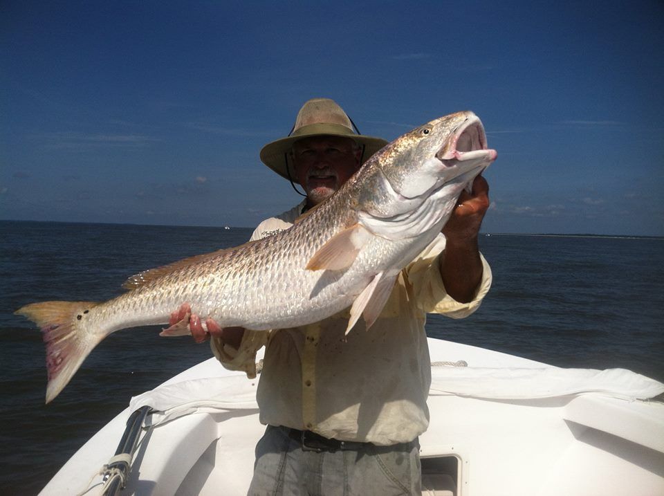 learn how to tarpon fish with the best guide in Georgia