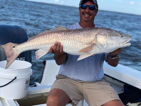 best bull red drum fishing in the coast of georgia