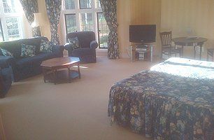 carpet cleaning