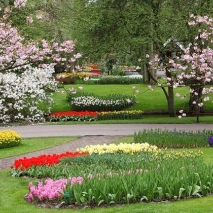 Lo staff completo di giardinaggio dal berretto fino alle utensili compresi i fiori