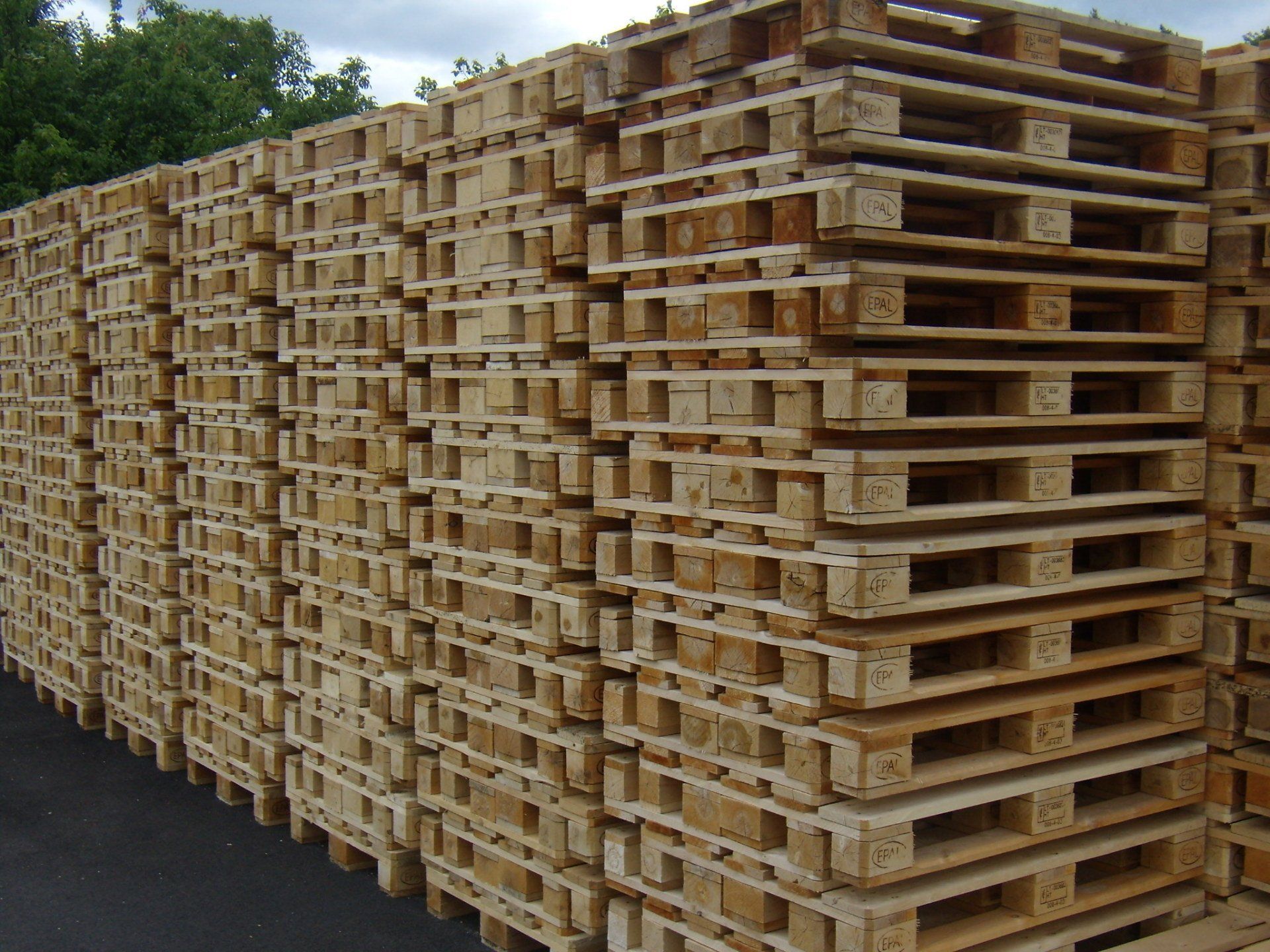 Pile di pallet di legno allineate all'aperto lungo una strada, con alberi sullo sfondo.