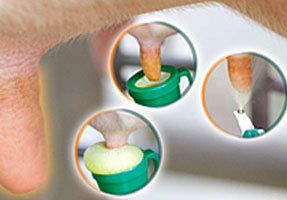 OxyCide Pre pre-milking dip