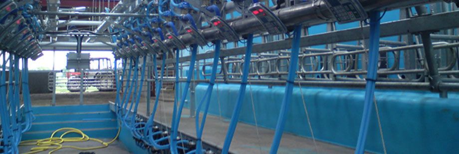 Equipment inside the dairy