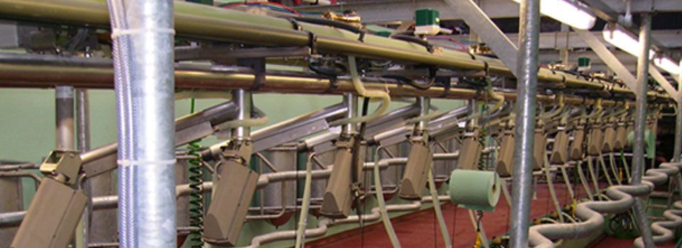 Pipes and equipment inside the dairy