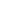 Telephone icon