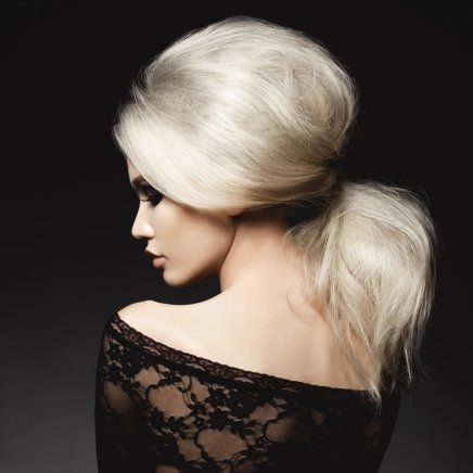 Upstyle, Updo, blonde, Blonde hair, long hair