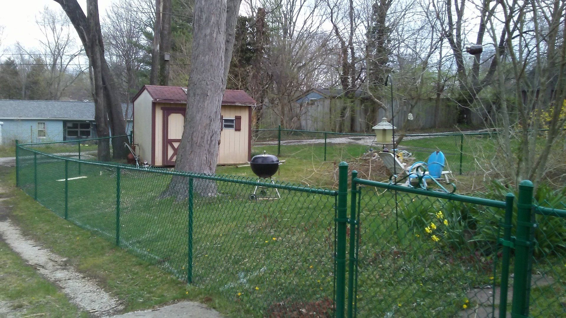 A chain link fence surrounds a yard with a shed and a grill.