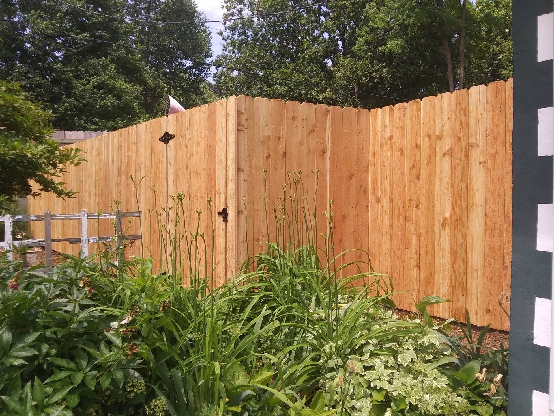 A wooden fence is surrounded by lots of plants and trees