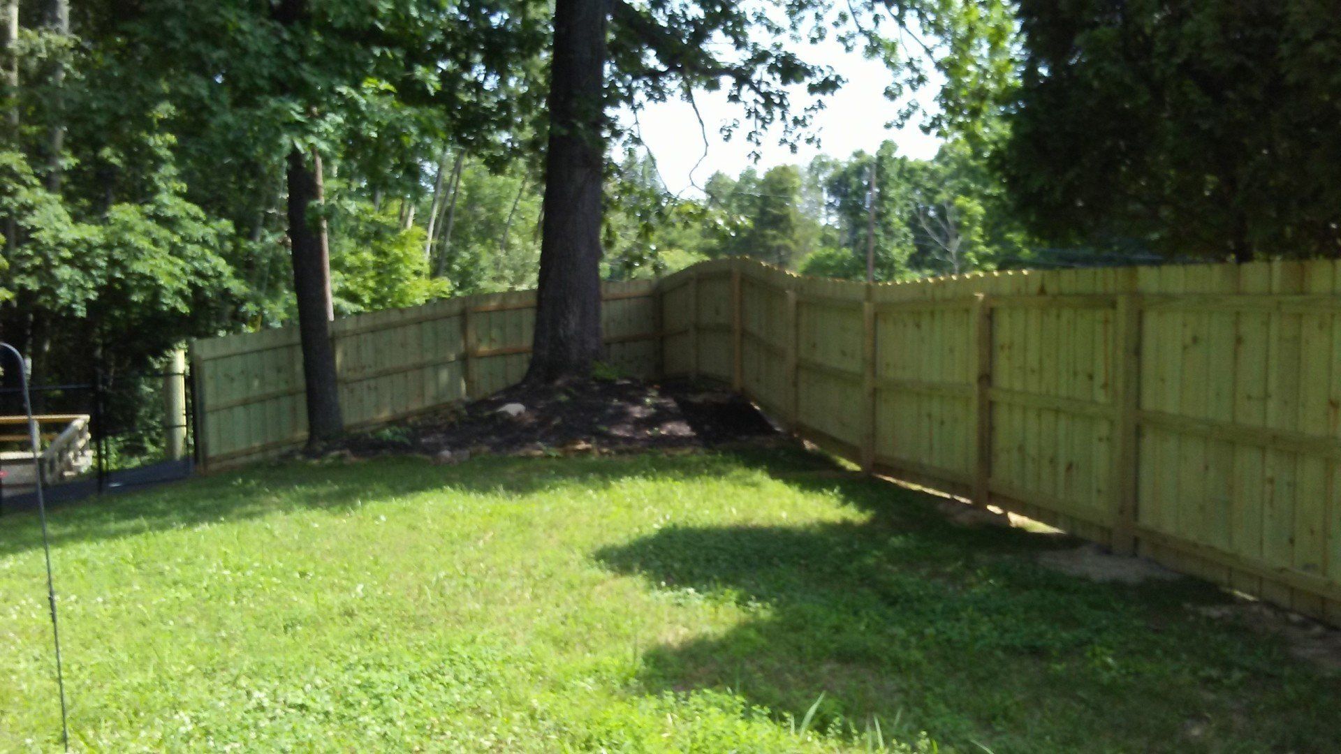 A backyard with a wooden fence and trees