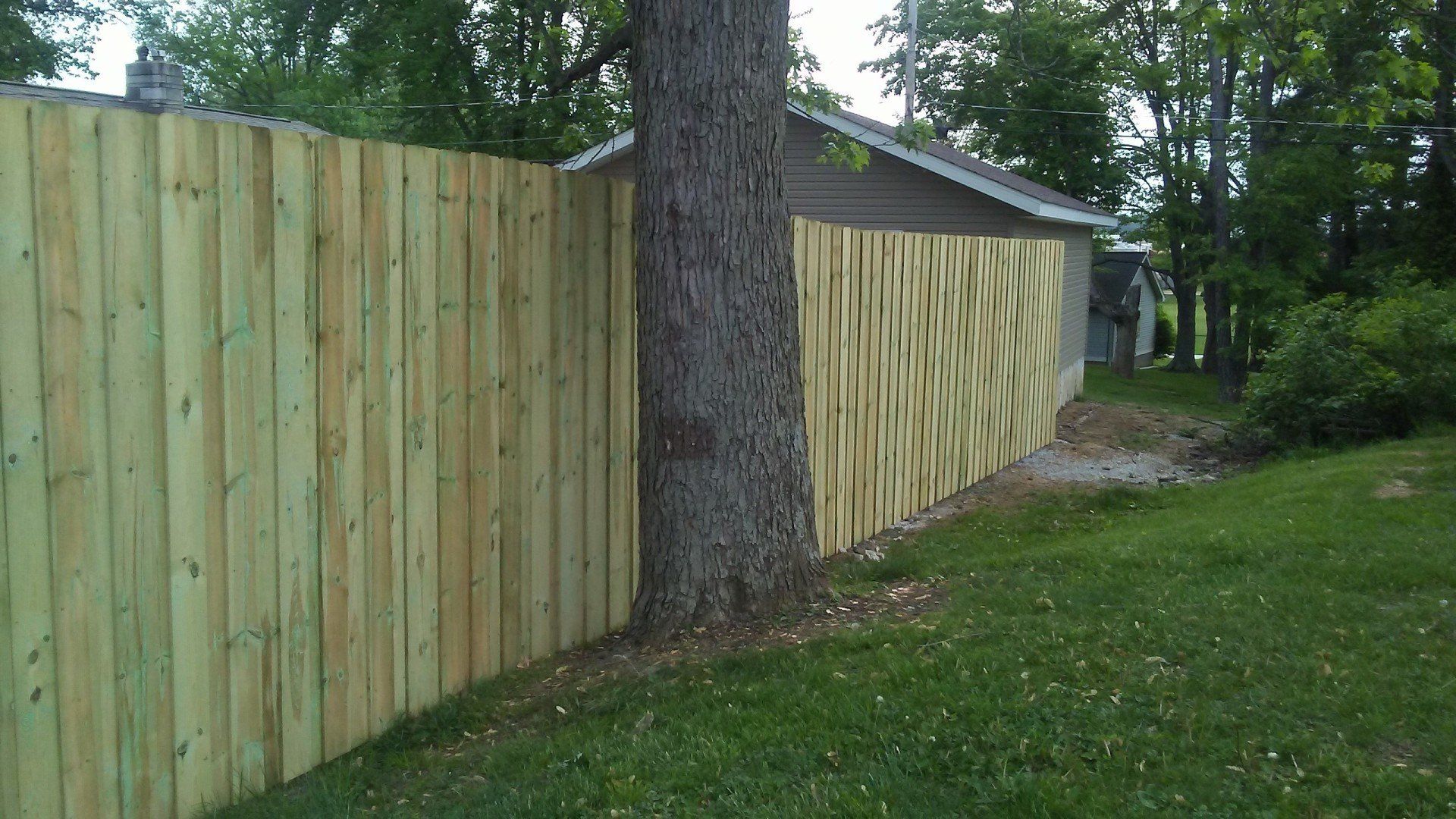A wooden fence is sitting next to a tree in a yard.