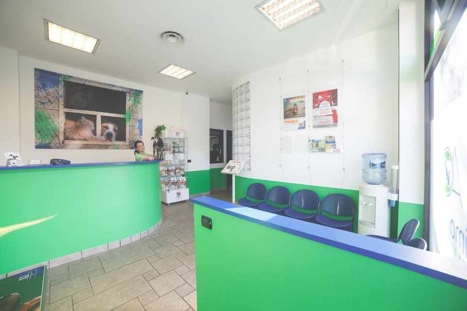 reception della clinica