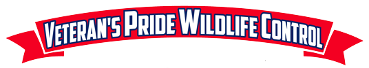 Veterans-Pride-Wildlife-Control