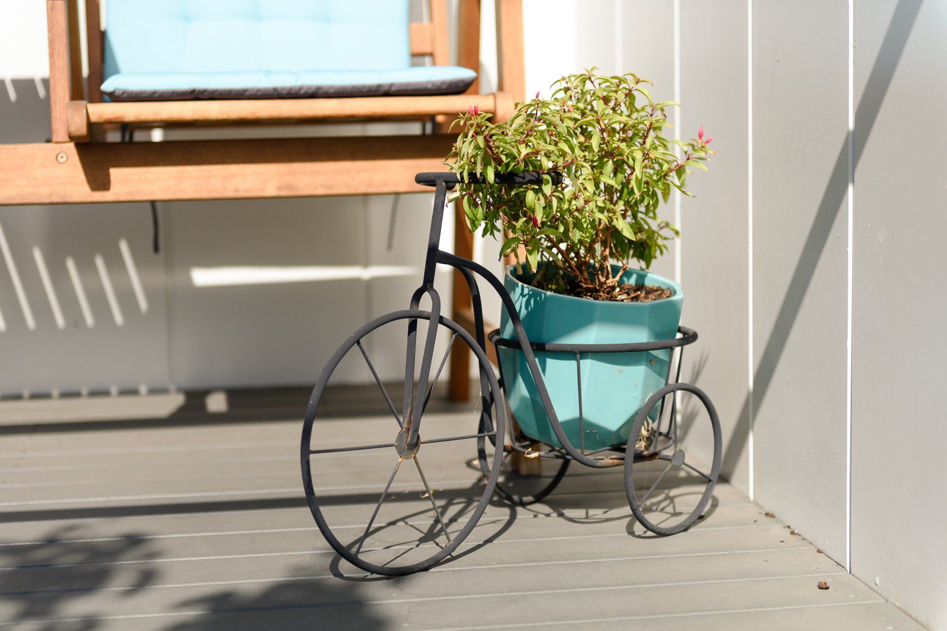 plant pot