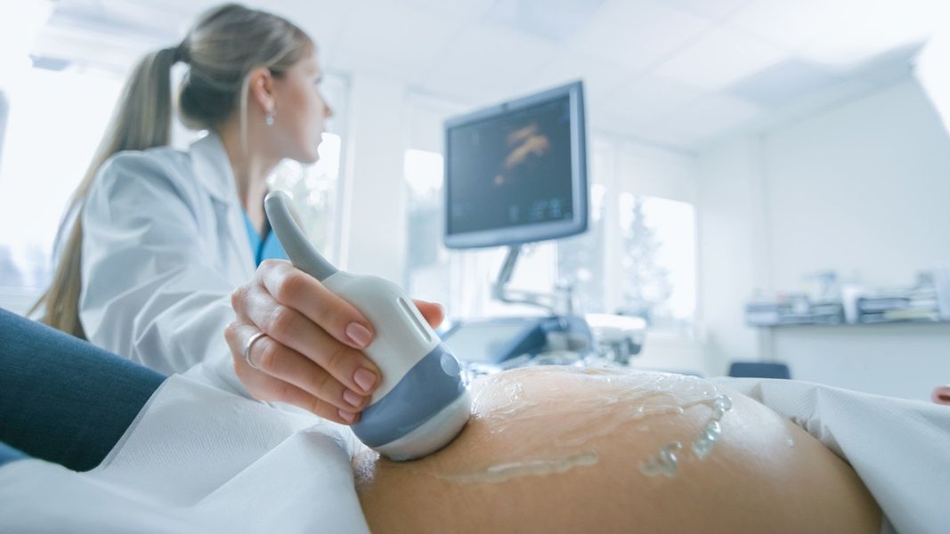 , ecografia addome completo, ecografia addome superiore, ecografia addome inferiore, ecografia tiroide, ecografia muscolotendinea, ecografia spalla, radiografia del torace, fisioterapia, cardiologia, mammografia