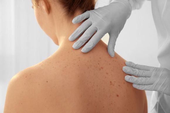 , ecografia addome completo, ecografia addome superiore, ecografia addome inferiore, ecografia tiroide, ecografia muscolotendinea, ecografia spalla, radiografia del torace, fisioterapia, cardiologia, mammografia