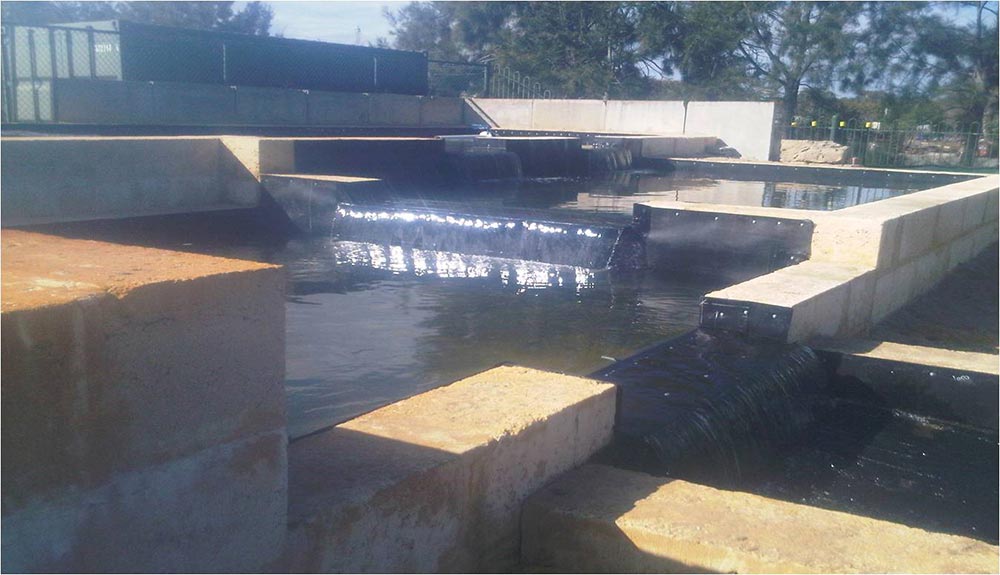 school filtration water containment area
