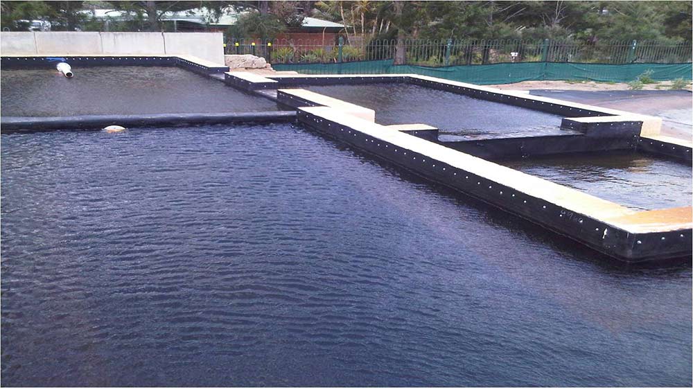school filtration large pools of water