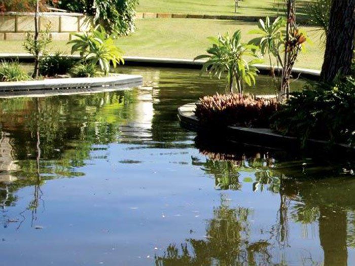 commercial pond filled with water