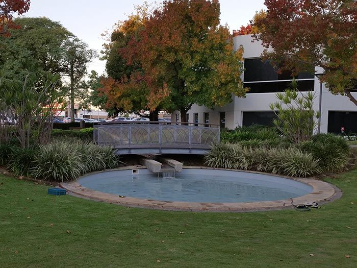 pond beneath bridge