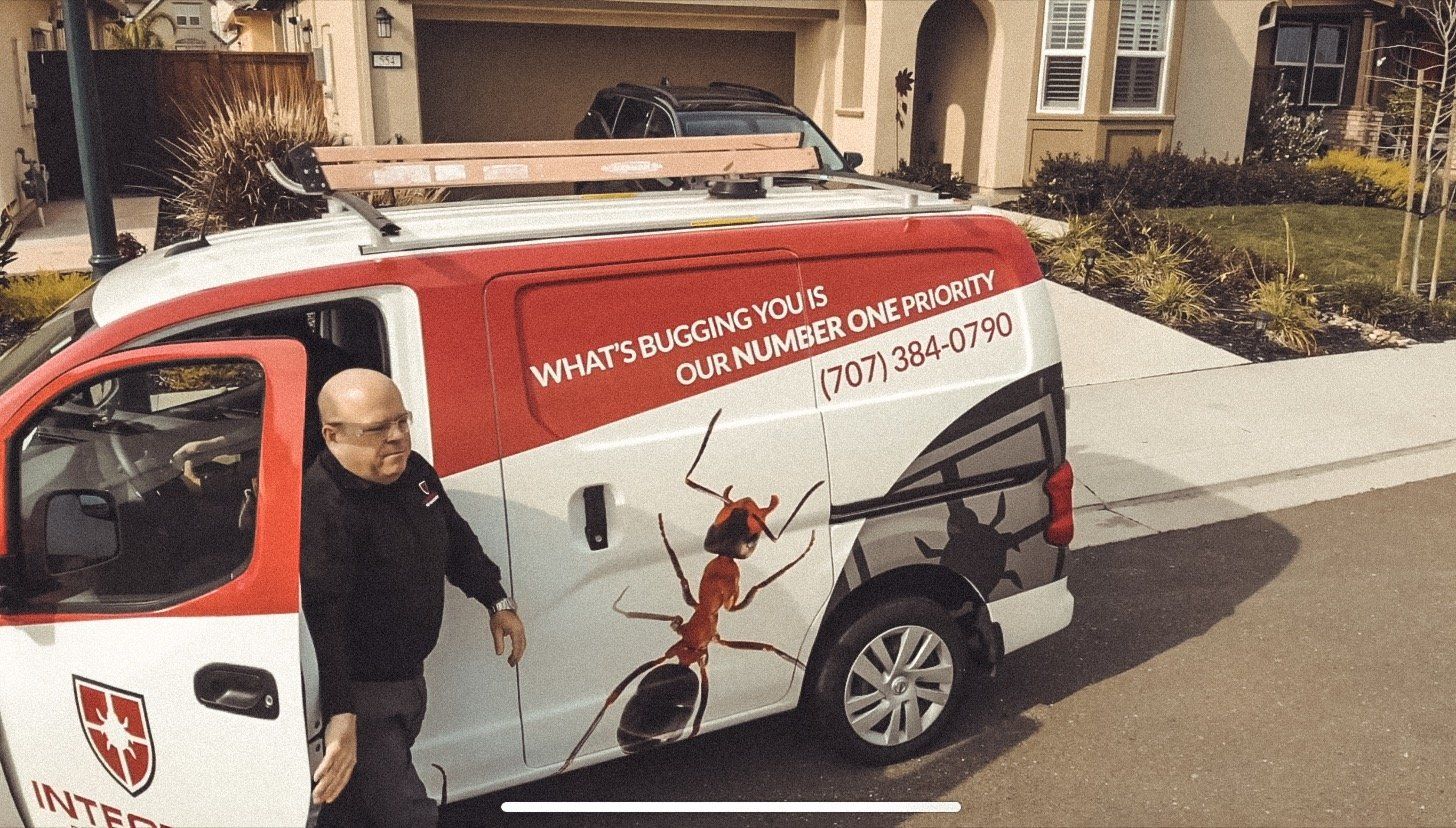 Man exiting a pest control van with large ant graphic; house in background.