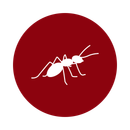 White ant silhouette on a red circle.