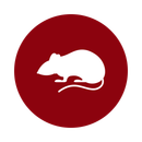 White mouse silhouette on a red circle.