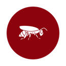White wasp silhouette on a maroon circle.
