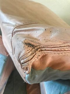 Tan leather sofa with visible black specks, possibly debris or insect droppings, near a seam.