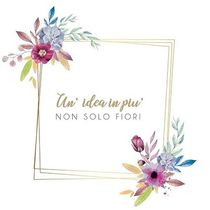 UN'IDEA IN PIÙ NON SOLO FIORI-LOGO