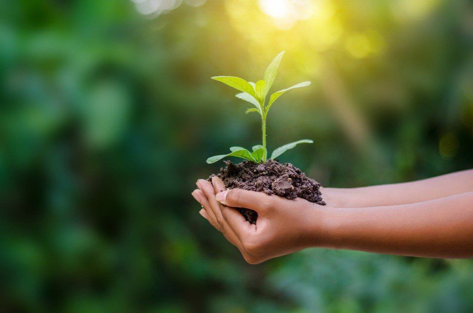 Fiberfill per l'ambiente