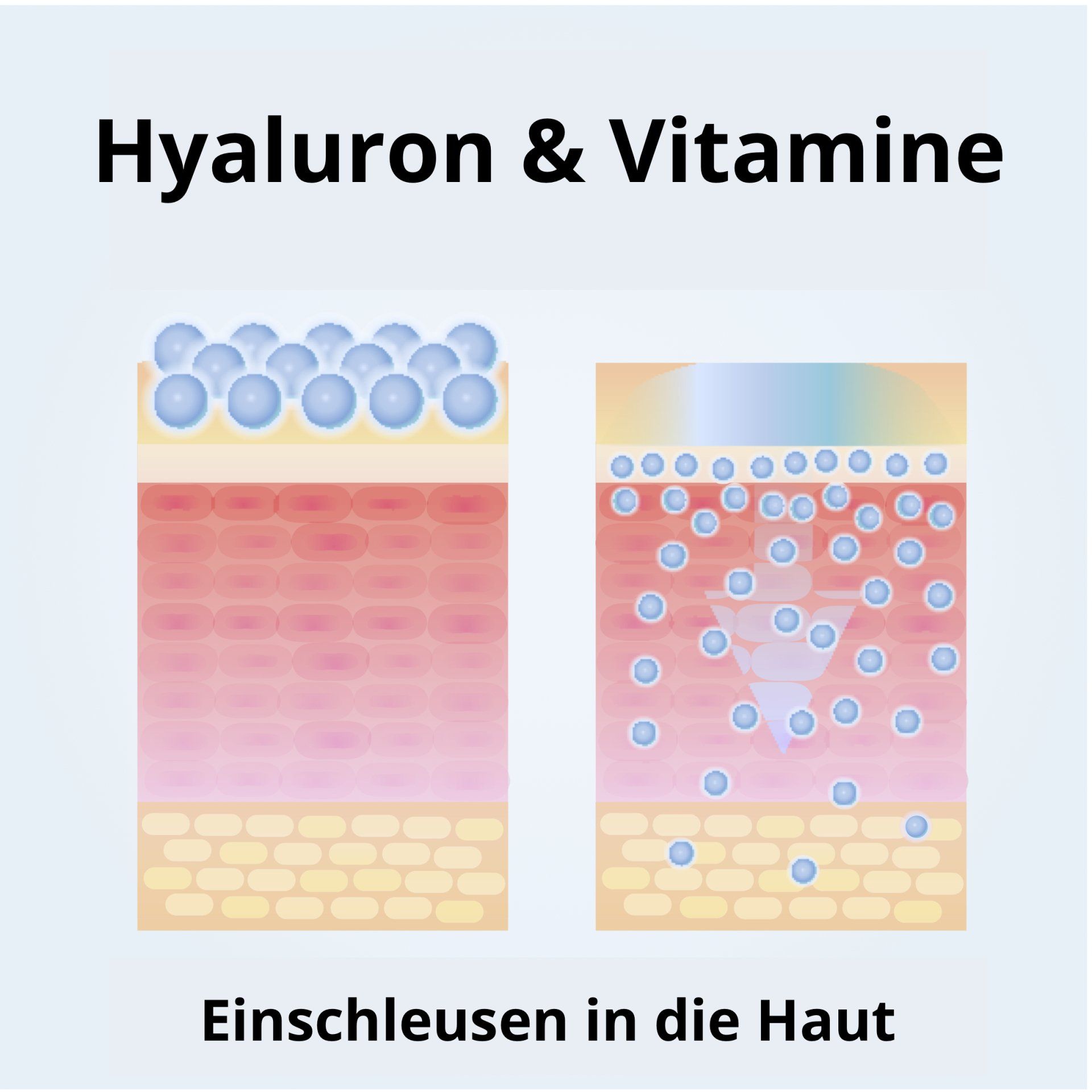 Diagramm mit blauen Blasen und deutschem Text, das Hyaluron und Vitamine in die Hautschichten eindringt.