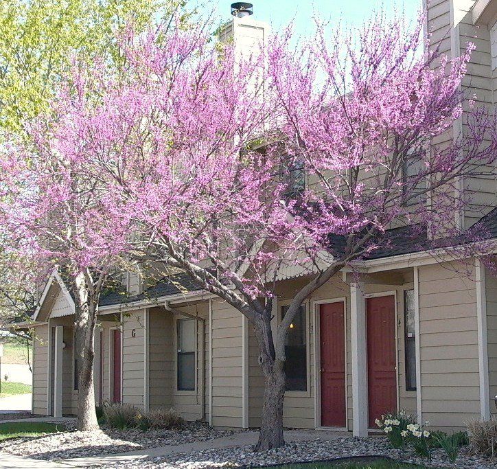 Lorimar exterior