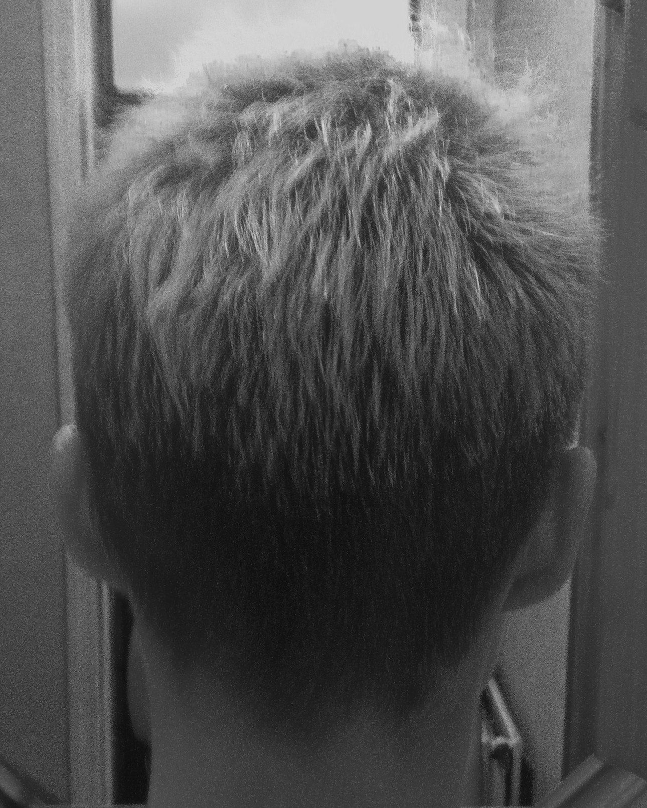 Hairstyles example 5