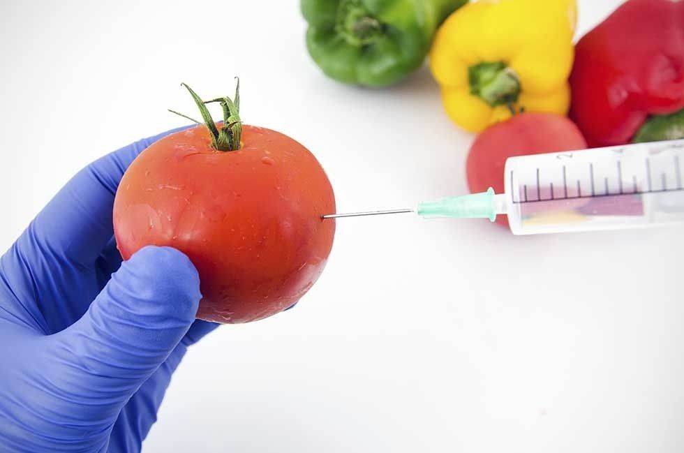 Analisi pomodoro