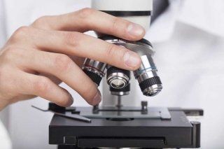 Microscopio