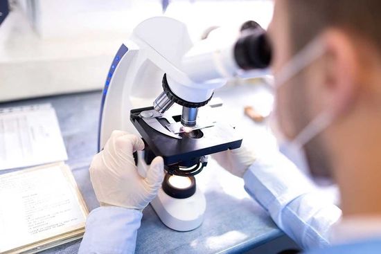 Microscopio