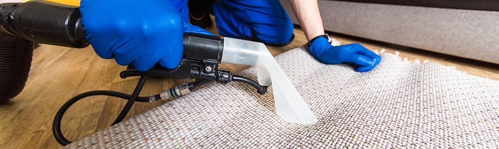 Area Rug Cleaning,  Olympia, Lacey, Yelm, Tumwater, Rainier, Roy and all surrounding areas.