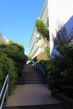 San Fransisco, CA