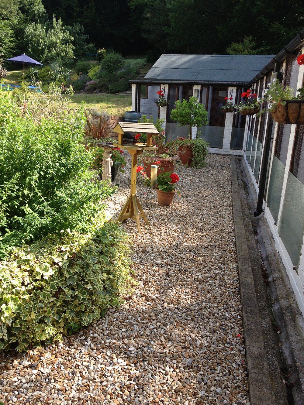 Garden