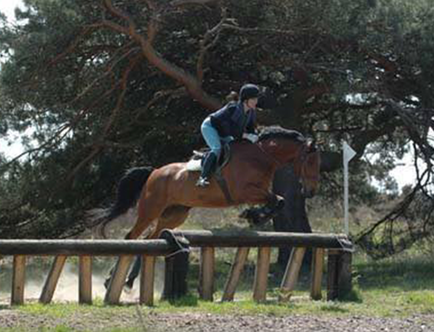 Indoor and outdoor arenas
