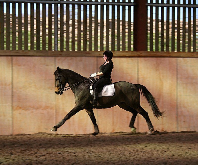 Riding lessons for all ages and levels