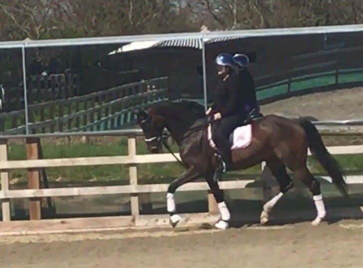 Indoor and outdoor arenas