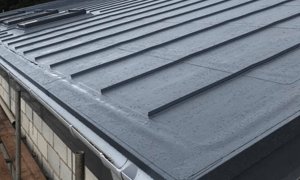 Green roofing